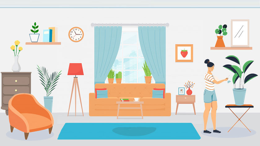 9 Plants to Improve Air Quality Inside Your Home