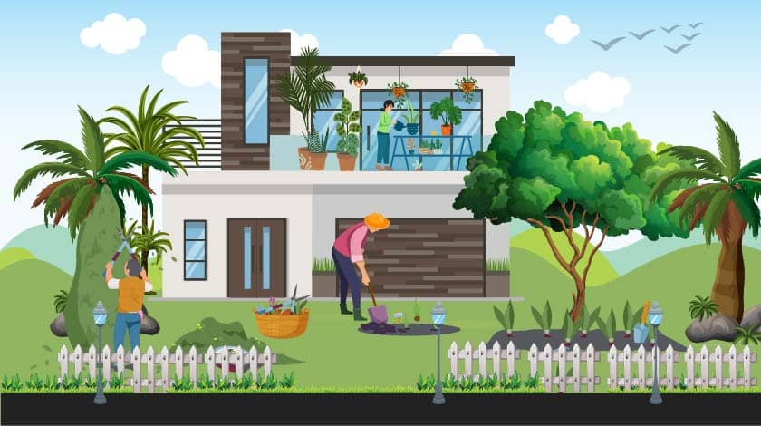 Best Home Gardening Tips for Planning, Setup & Maintenance