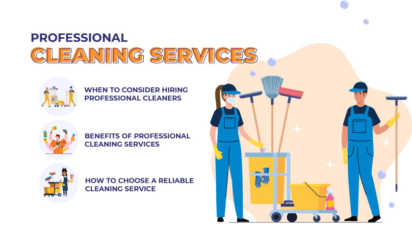 Professional Cleaning Services