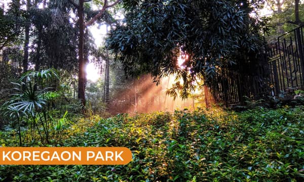 Koregaon Park Pune