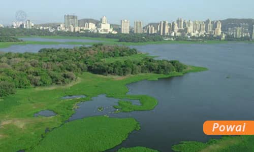 Powai Mumbai
