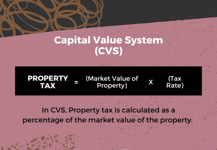 CVS infographics