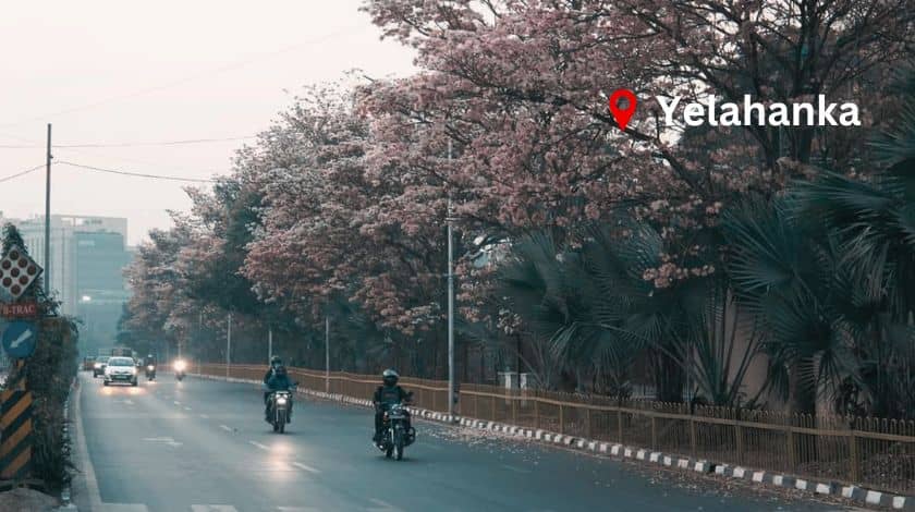 Yelahanka