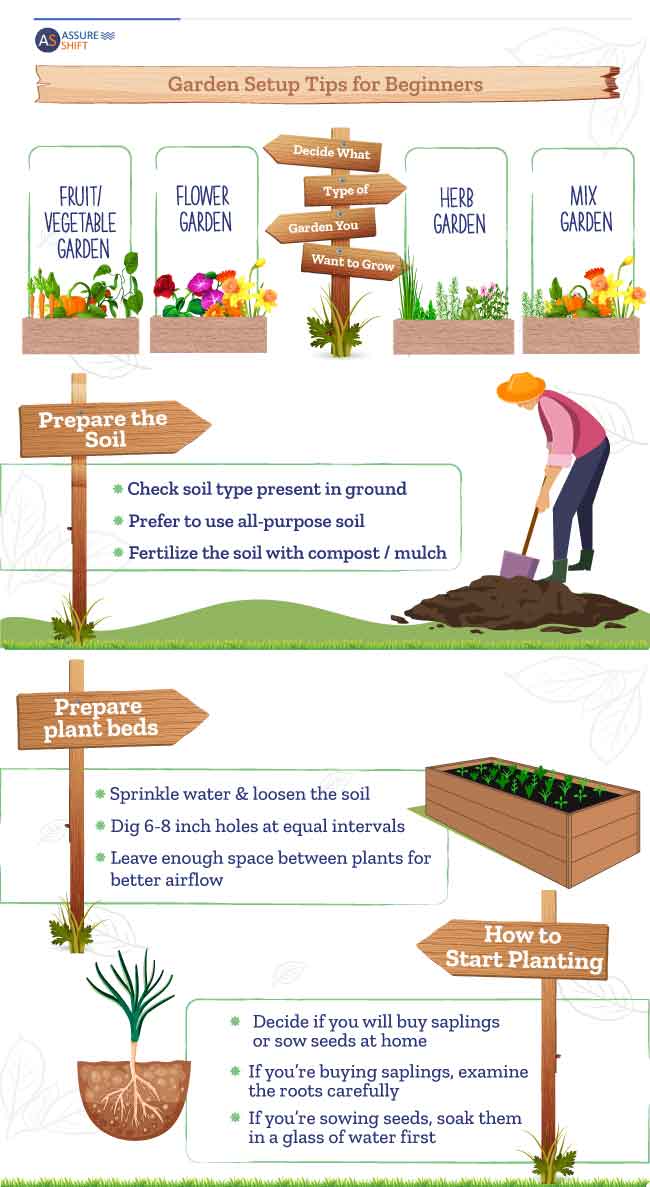 Basic Gardening Tips for Beginners