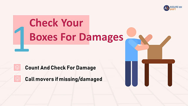 Count Boxes and Check for Damage