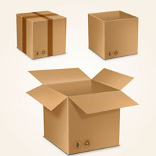 Organized Packing Unpacking Services for Local Shifting in Rohini Delhi Organized Packing Unpacking Services for Local Shifting in Rohini Delhi