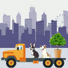 Pet and Plant Moving Services by Trusted Packers and Movers Miyapur