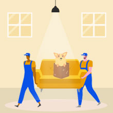 Pet moving services from Hadapsar Pune