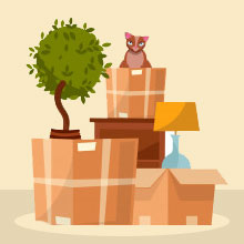 Plant relocation services from Hadapsar Pune