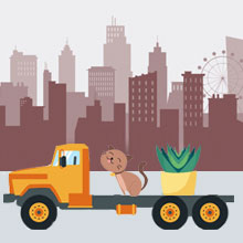 Safe Pet and Plant Moving Services in Bellandur