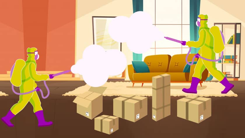 Sanitize All Goods After Moving In
