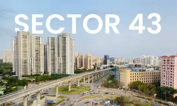 Sector 43 Gurgaon