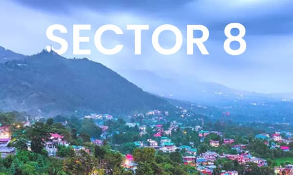 Sector 8 Chandigarh