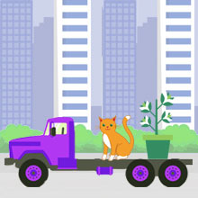 Secure Pet and Plant Relocation Services in Bangalore Secure Pet and Plant Relocation Services in Bangalore