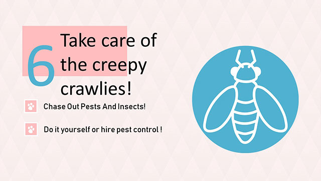 Do pest control