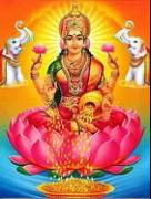 DSL Packers and Movers Logo