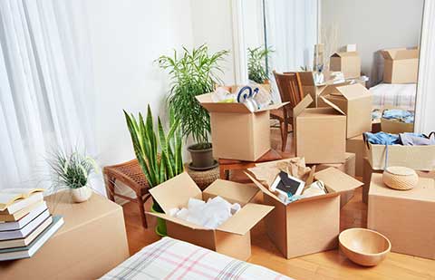 Anex Packers Movers Private Limited Packing