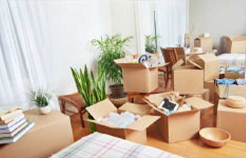 Budget- Logistics and Packers -Unpacking.jpg