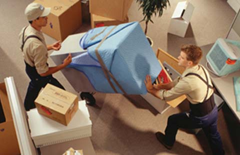 Dolphin-Packers-and-Movers-Packing-Items