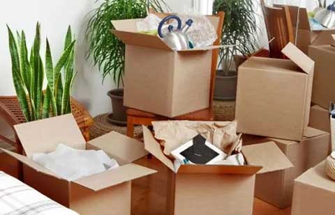 ESSRBEE-Packers-Movers-India-Pvt-Ltd-Unpacking.jpg