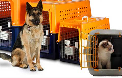 Famous-Packers-Movers-Pet-Relocation.jpg
