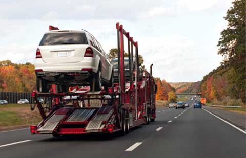 Global International Packers Movers Car Transport