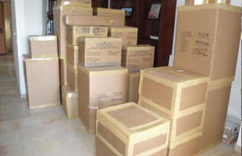 M-S-Tempo-Service-Cargo-Movers-Packing.jpg