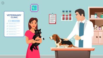 How To Register Pets When Moving
