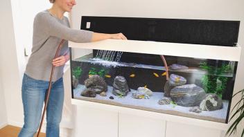 Moving an Aquarium