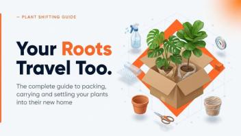 House Plant Packing & Moving tips