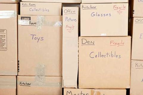 Alfa-Packers-Movers-Pune-Domestic-Moving.jpg