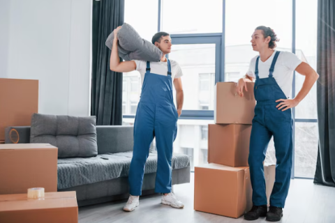 Ambe-packers-and-movers-household-packing