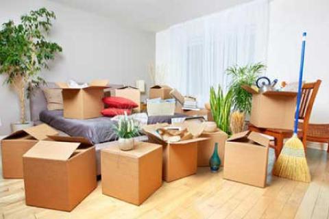 Ankit-packers-and-movers-packing