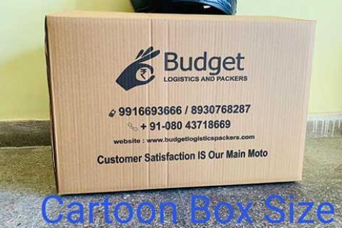 Budget Logistics Packers Carton Boxes