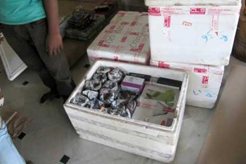 Chahar Packers Movers Packing