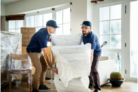 DTC-Express-packers-and-movers-Shifting