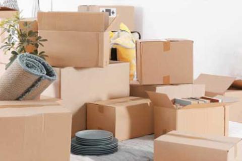 Dangi-Packers-Logistics-Packing.jpg