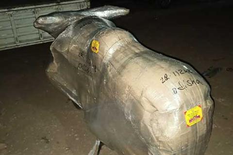 Divine Cargo Packers Movers Bike Packing