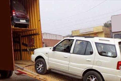 Dolphin Packers Movers Car Transport