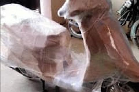 G-Raj-packers-and-movers-bike-relocation