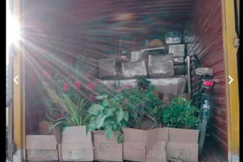 Gaat Road Carrier Loading