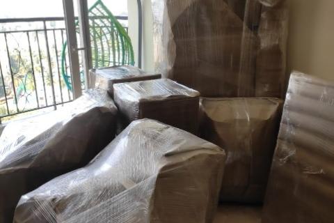 Globe-golden-packers-household-packing