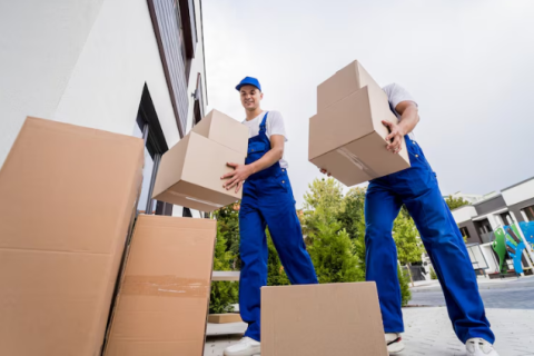 Globus-packers-and-movers-household-shifting
