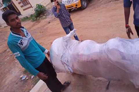 Great X Cargo Packers Movers Bike Packing2