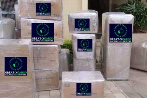 Great X Cargo Packers Movers Unloading1