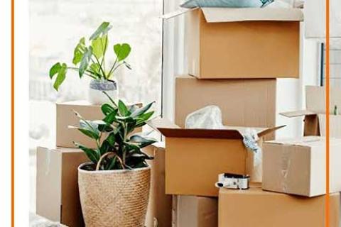 India - Express Movers and Packers -Packing02.jpg