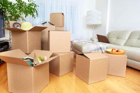 Indian-cargo-packers-and-movers-packing