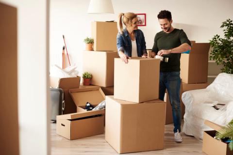 Jaipur-Golden-Unique-Cargo-Home-relocation