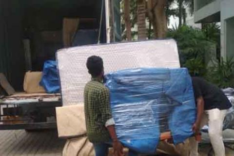 Lion-packers-and-movers-loading