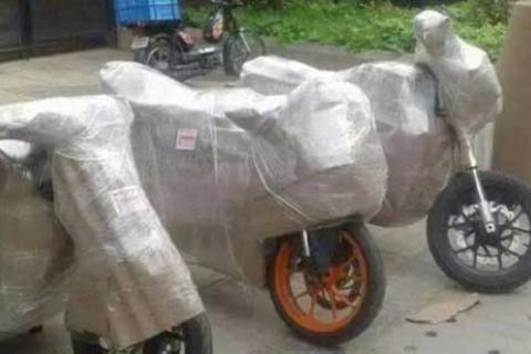 Maple Packer Mover Bike Packing